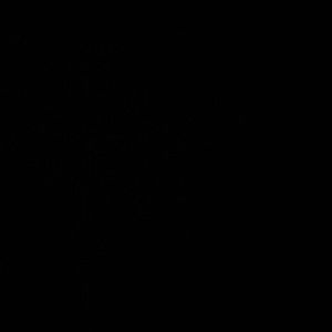 Meet your Posher, Nia